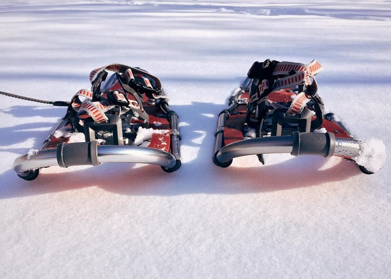Snowshoeing in the wilderness